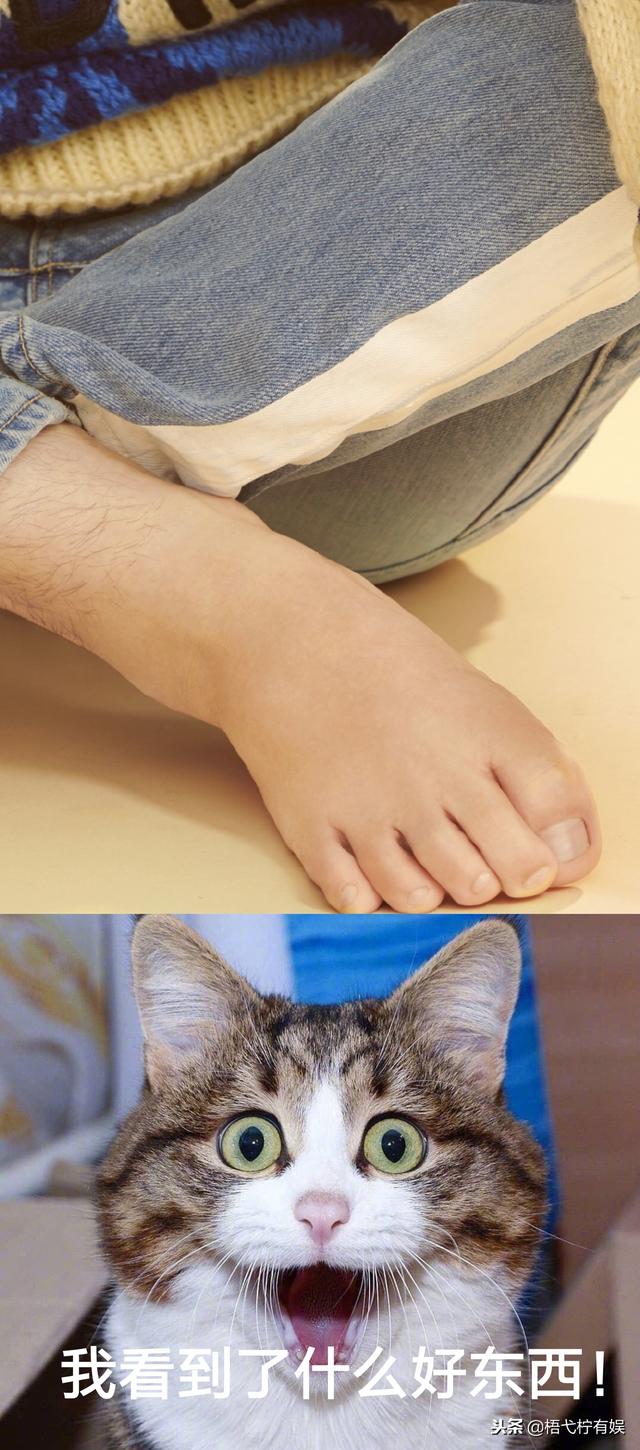 男生腿部，微信头像，男生腿部（暴露了和手同款的小胖脚）