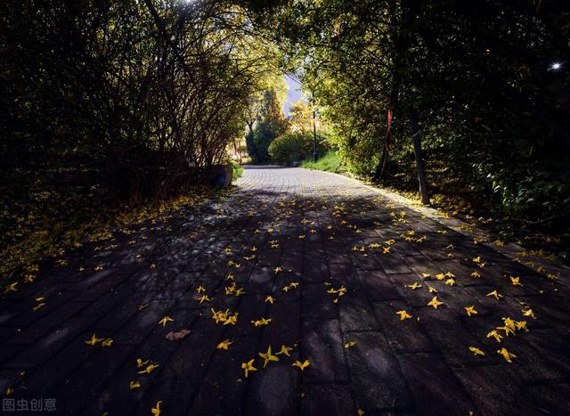 唯美图片 却话巴山夜雨时，微信头像，唯美图片 却话巴山夜雨时（短短28字道出千古深情）