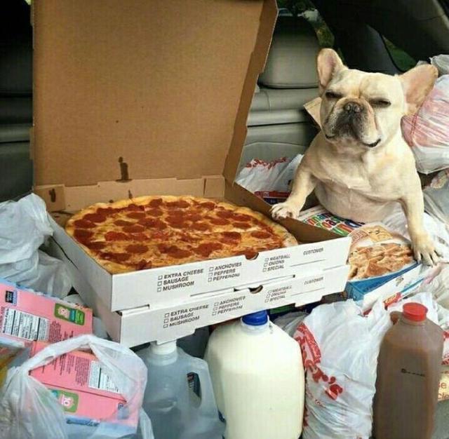 逗比有趣的朋友圈说说，逗比盆友圈说说（逗趣搞笑的朋友圈说说）