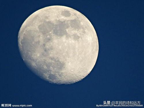 婵娟是什么意思，水调歌头婵娟是什么意思（苏轼的《水调歌头》有多美）