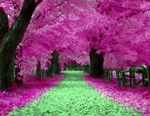 内蒙古人所说的风季是哪个季节，蒙古人的风季是什么季节（中国历史地理常识大全）