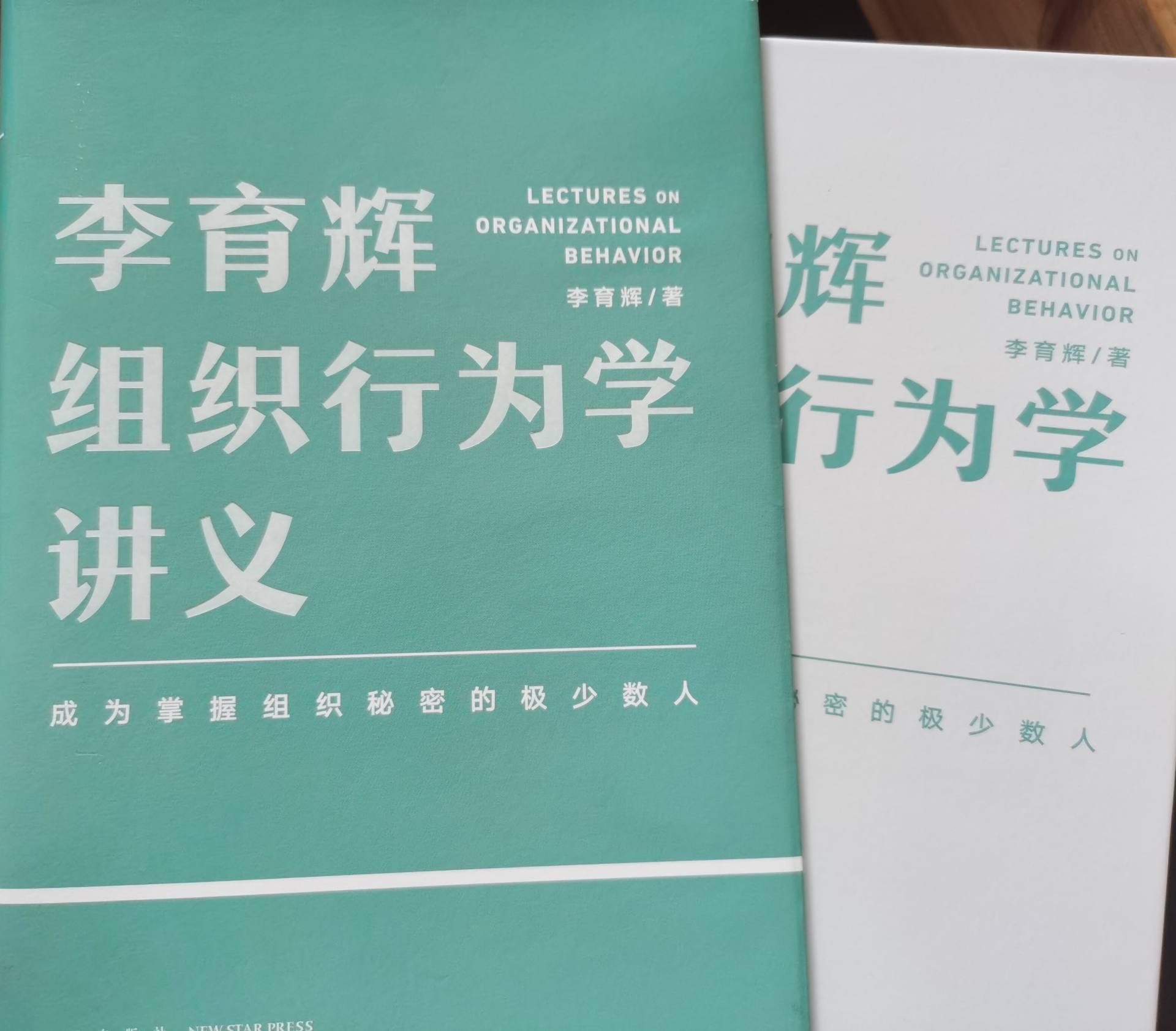 组织行为学案例（李育辉组织行为学讲义）