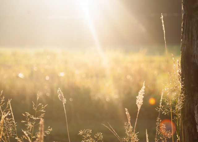 怀念过去的诗句，十首回忆诗词（感慨岁月催人老的古诗词）