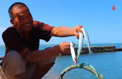 怎样做马步鱼，怎样做马步鱼汤（这种又细又长的鱼名叫“马步鱼”它既是海鱼又是河鱼）