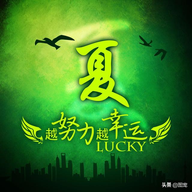 多幸运在最美的年纪遇见你，多幸运，在最美的年纪遇见你（一款以绿色为背景的微信头像悄悄送给你）