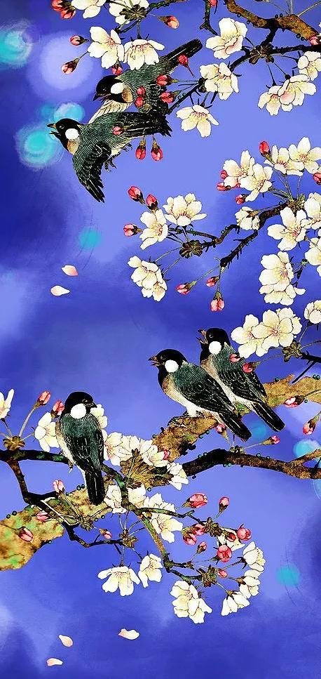 全屏手机壁纸，苹果手机动态壁纸下载 免费 全屏（36张精美无字迹图片）