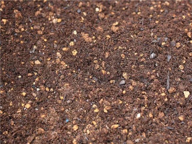 酸性土壤怎么弄，土壤增加酸性的方法（轻松变成酸性土）