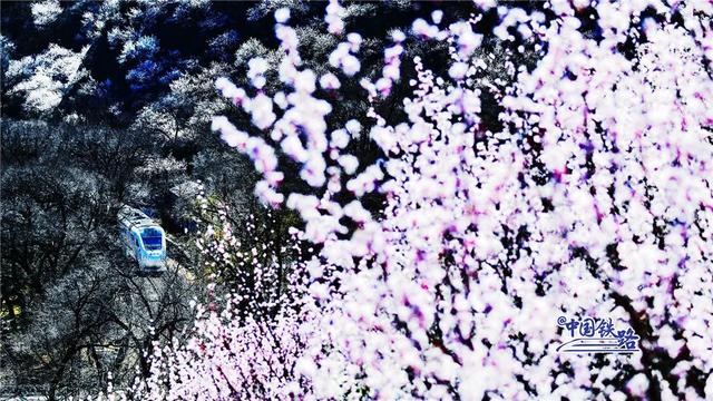 火车时刻表查询和票价,高铁动车时刻表及票价(最新票价+时刻表请查收) 火车时刻表查询和票价,高铁动车时刻表及票价(最新票价+时刻表请查收)