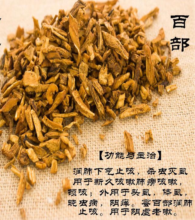 去除猫狗身上虱子跳蚤的简易方法，狗虱子跳蚤怎么去除（狗狗身上跳蚤严重）