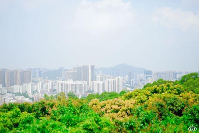 深圳十大免费景点，深圳十大必玩免费景点排名