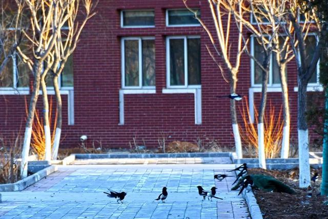 河北承德石油高等专科学校，承德石油高等专科学校2019年招生章程（想见你，我们美丽的承油）