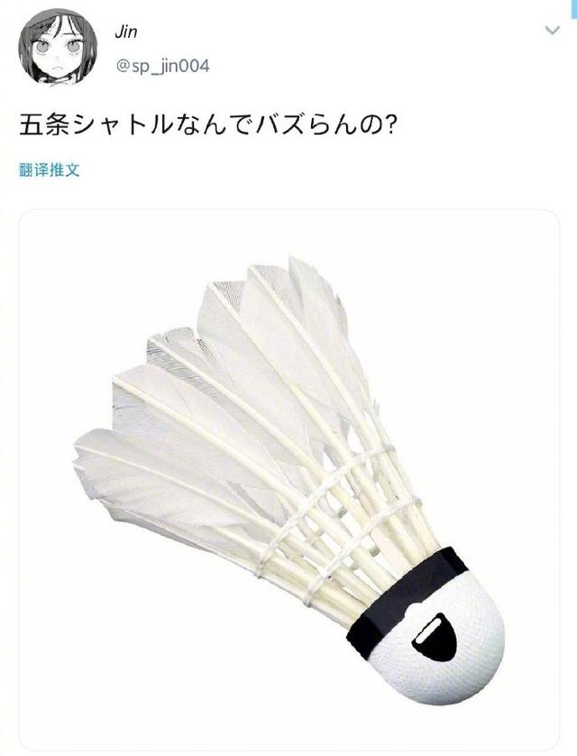 五条悟头像高清帅气，五条悟头像微信（那就找只猫扮成他）