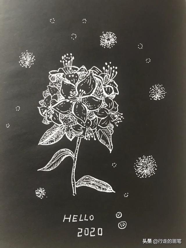 一张简单又漂亮的画，漂亮又简单的简笔画教程（简单又好看的线条画#一支笔画出你的世界）