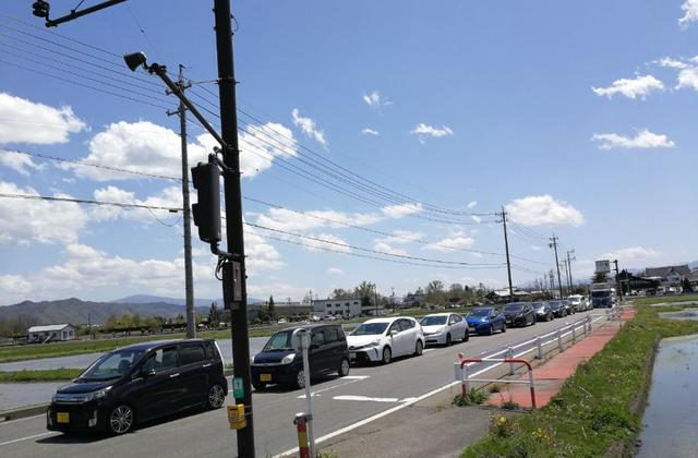 芥末为什么叫瓦萨比，瓦沙米是芥末吗（终于去了安昙野大王山葵农场）