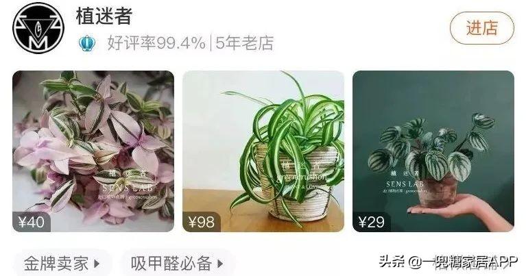 淘宝网花店(淘宝商城花卉市场)