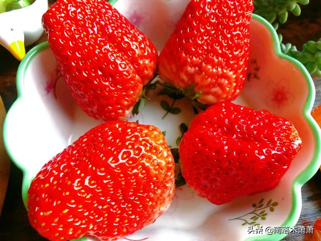 花菜素炒怎么做好吃，干锅花菜怎么做好吃又简单视频（家常小菜：素炒菜花的做法）