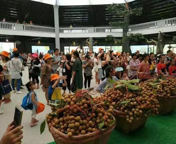 客家人与汉人的区别，客家人与汉人的区别是什么（福建汉人民系与客家民系概况）