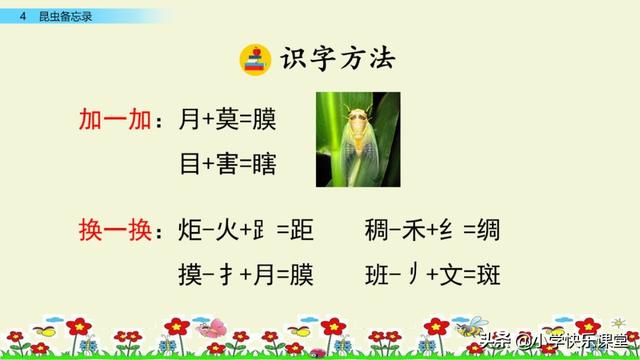 什么的硬翅，什么的硬翅？填四个字。（小学部编三年级语文下第4课《昆虫备忘录》图文+知识点+同步练习）