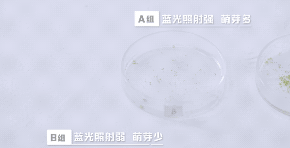 如何开启电脑防蓝光护眼呢，电脑如何关闭防蓝光护眼（我们把实验搬去了“太空”）