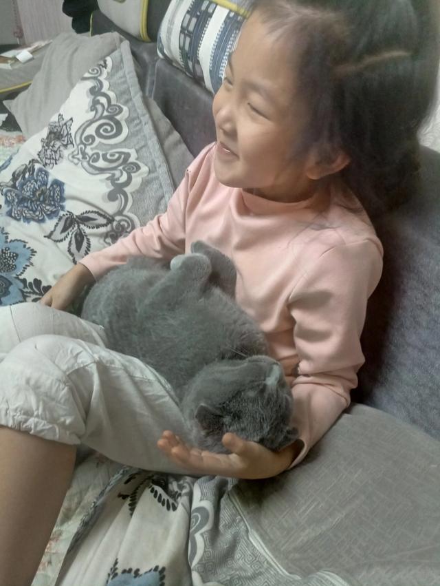 两个月大的猫咪的训养方法,怎么训练两个月的猫咪(新手怎么喂养和训练两个月的小奶猫) 两个月大的猫咪的训养方法,怎么训练两个月的猫咪(新手怎么喂养和训练两个月的小奶猫)