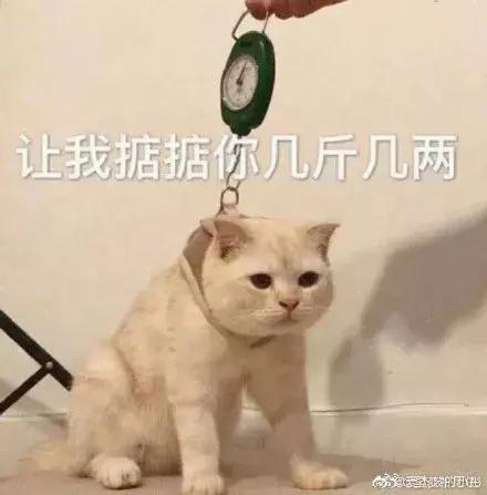 球圈top阿中哥是什么梗，为阿中哥打call（饭圈女孩出征\