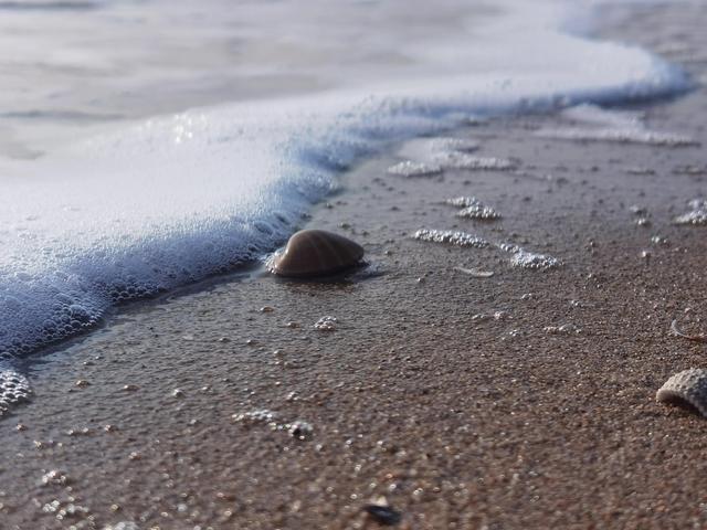 南戴河黄金海岸，南戴河有什么好玩的地方（南戴河黄金海岸的荒凉与美丽同在）