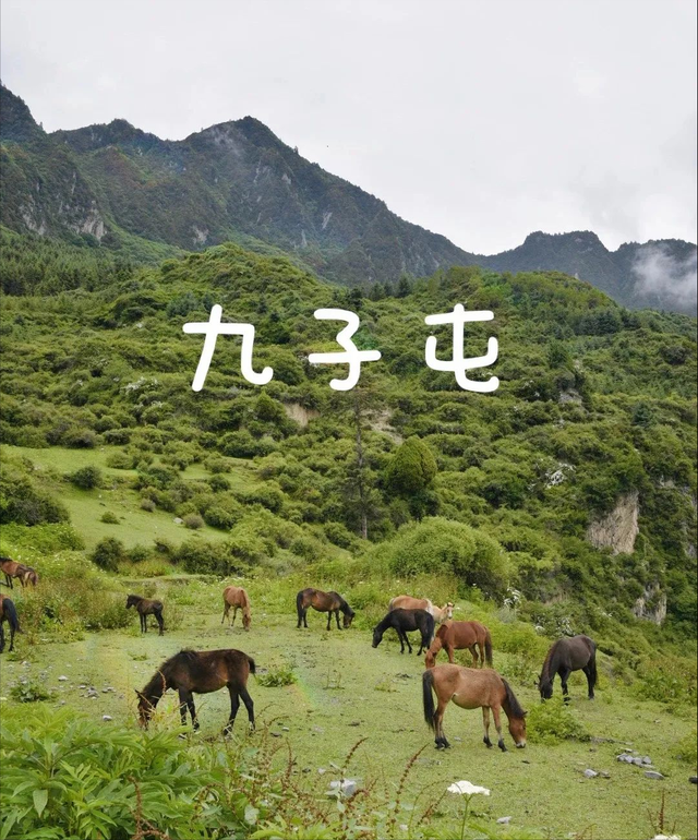 成都市区必去一日游，成都市区一日游最佳攻略（推荐9个成都周边1日游好去处）