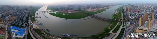 鸟字旁的字有哪些，寸加偏旁组成新字（三分钟了解华夏先民与的故事）