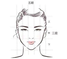 种眉毛的方法，有几种做眉毛的方式（应结合眉毛的纹理来确定种植的方向和角度。）