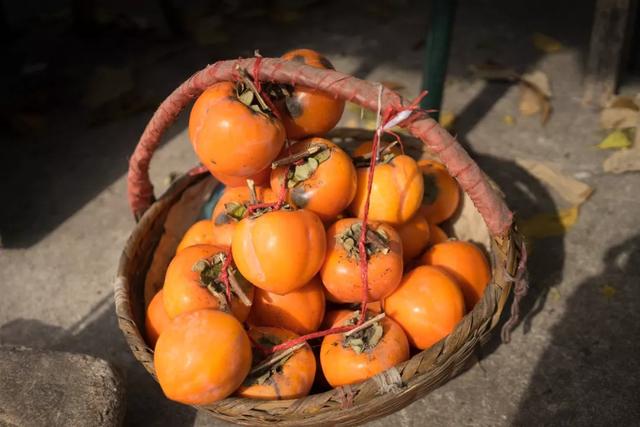 怎么晒柿子干,怎么晒柿子干好吃(老一辈的方法真好) 怎么晒柿子干,怎么晒柿子干好吃(老一辈的方法真好)