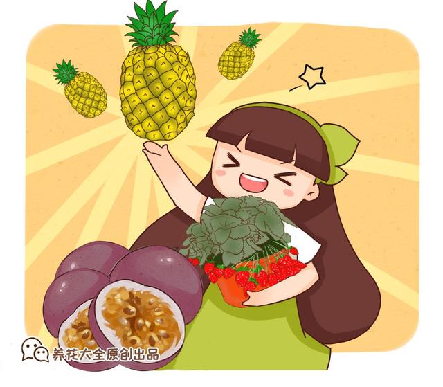 霸王花是火龙果的花吗，昙花、霸王花、火龙果花和令箭荷花的区别（奶奶把一根枝插土里）