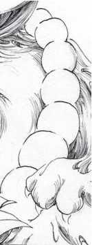 椭圆的画法，木工椭圆最精确的画法（合理快速的画一幅画）