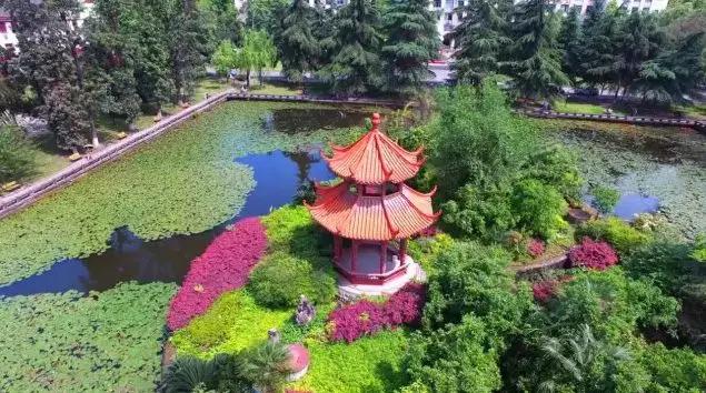 多肉是什么植物，多肉植物是什么植物（中国春天最美15座大学）