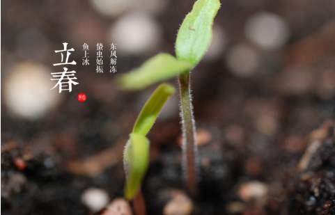 明天就是立春了，关于立春的风俗和禁忌，你都知道吗？