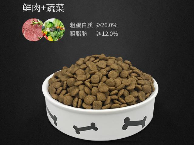 女生适合养的护卫犬，家庭护卫犬（这“7种狗狗”值得一养）