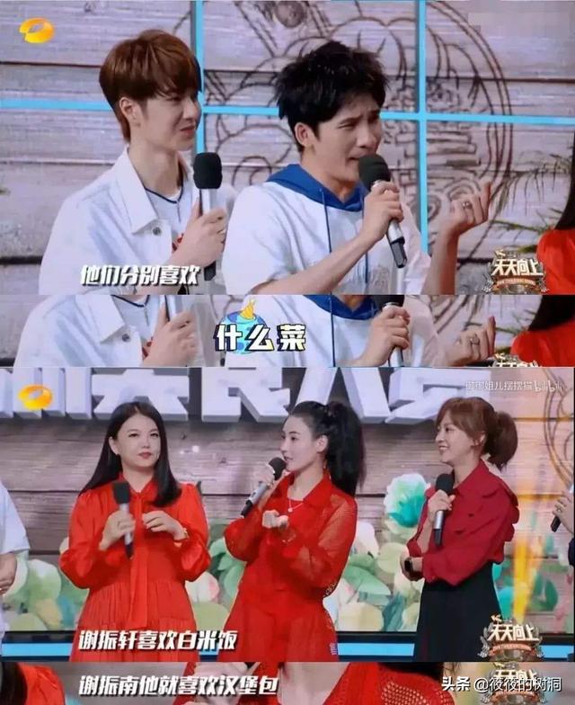 张柏芝什么时候离婚，张柏芝谢霆锋什么时候离婚（哪怕没有王菲和照片事件）