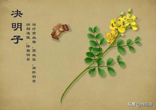 什么药材好种植，这5种中药材，年年高价（这5种药材种植产量高）