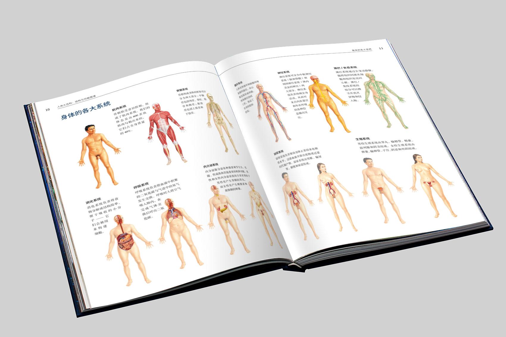 做梦梦到男朋友出轨了是什么意思，做梦男朋友出轨预示什么意思（简单粗暴，这是一篇福利文）