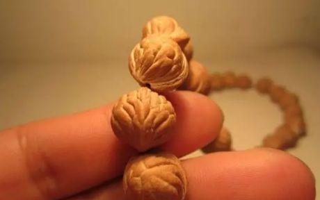 核桃树枝的药用功效与作用，核桃树枝都有哪些成分与功用（许多文玩人见过它却不认识它）