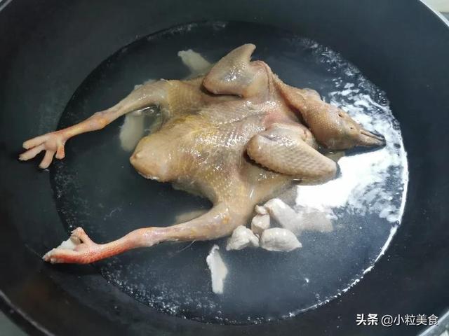 清炖鸽子汤 清炖鸽子汤的做法，清炖鸽子汤（教你怎么做清炖鸽子汤）