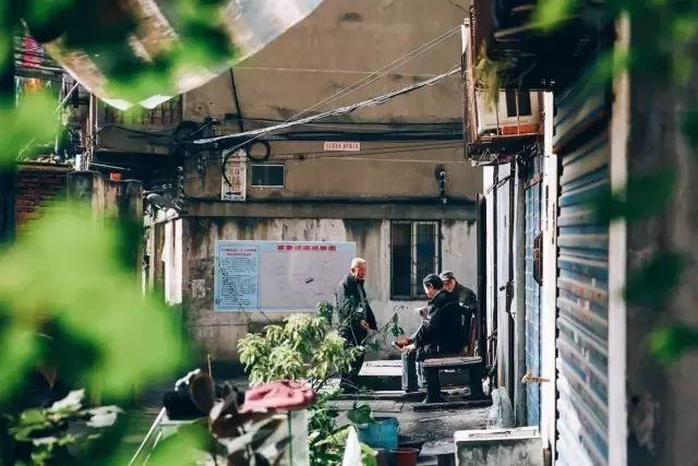 武汉奓山有什么好玩的，武山有啥好玩的（越分不清那些“路”）