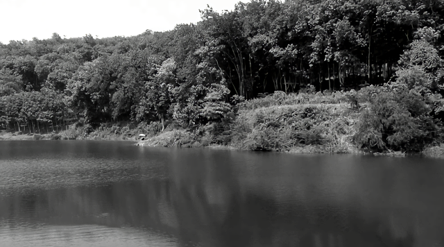 知青周萍的结局，周萍最后的结局是自杀（指导员被纳为重点嫌疑对象）