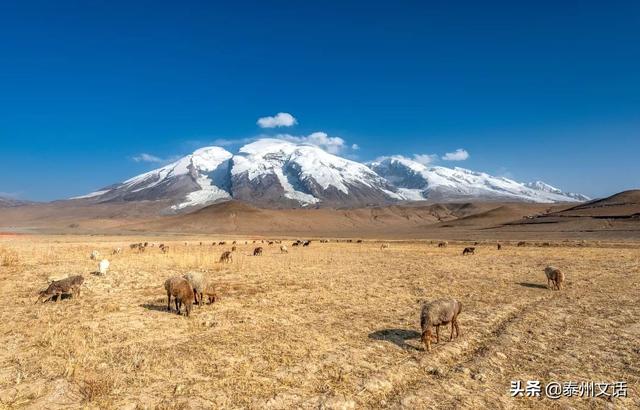 风铃渡镇在湖南省哪里，湖南风铃渡镇在什么地方（中国这么大，什么样的地名都有）