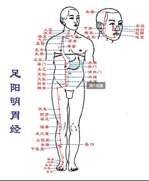 十二经络走向记忆法，十二经络走向记忆法2（12首穴位歌诀教你瞬间记住经络走向）