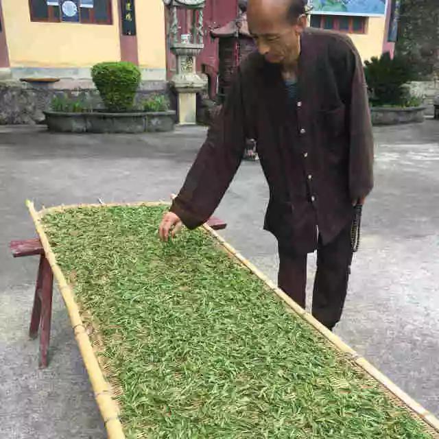 大悲水治病的方法，怎样制作大悲水治病（师父自种，听着佛乐长大的茶）