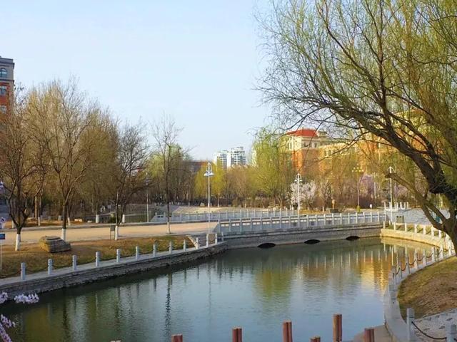 渤海大学是211吗，渤海大学是什么大学（辽宁省普通高等院校）