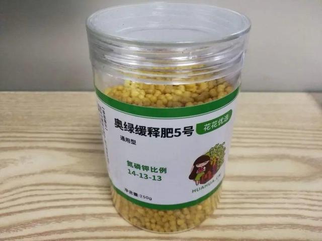 瓜子属于坚果吗，瓜子花生属于坚果类吗（给花吃点瓜子）