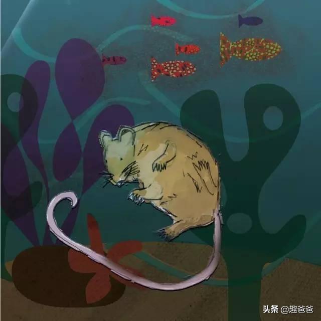 小动物找房子的故事内容，小动物找房子的故事内容简介（儿童小故事：小老鼠找新家）