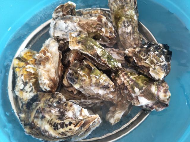 生蚝的做法蒸几分钟，生蚝的做法蒸几分钟海螺可以吃（冷水下锅还是热水下锅）