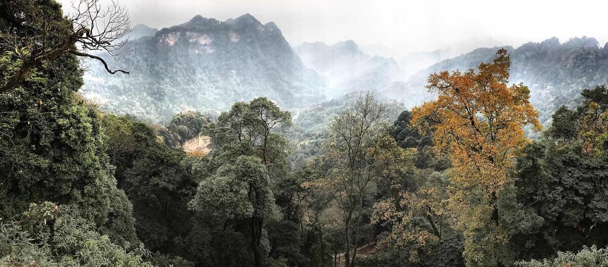 青城山旅游攻略推荐（建议收藏，不可多得的洗肺胜地）